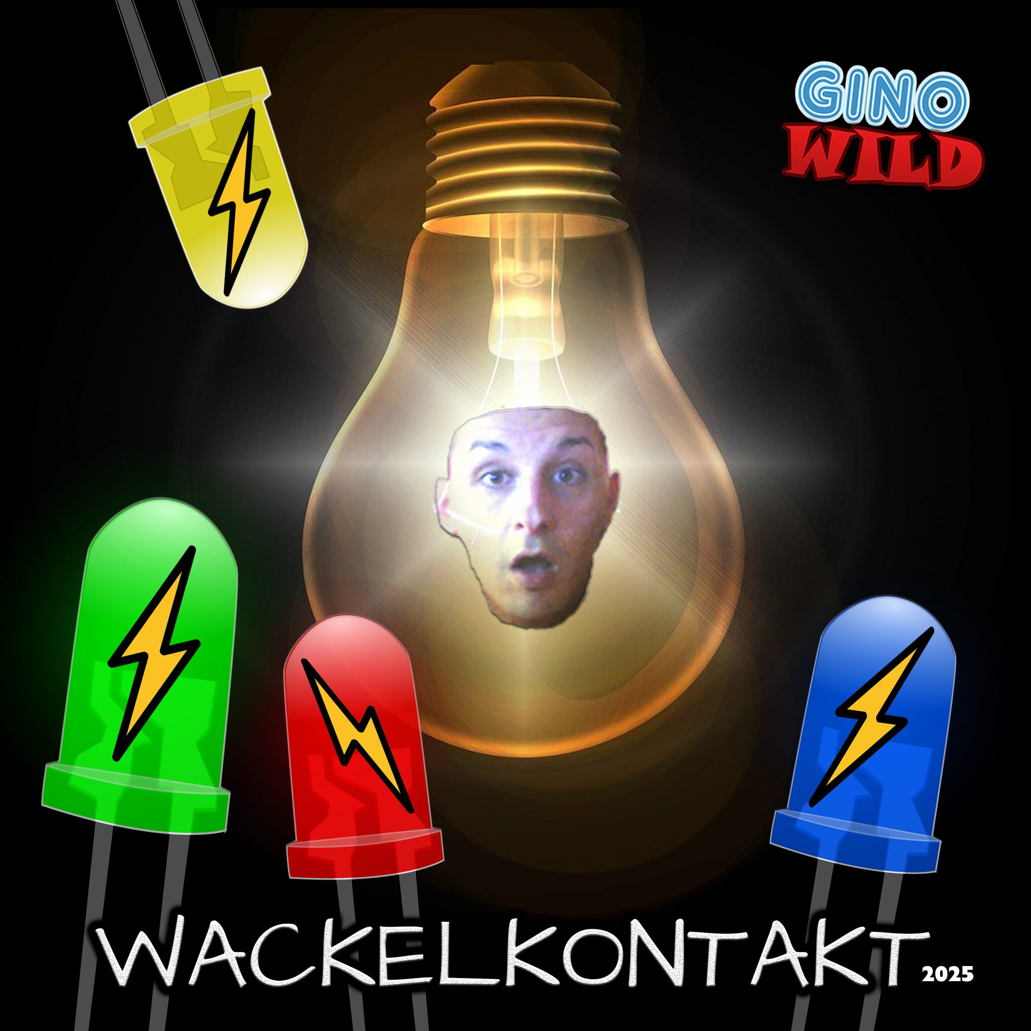 Gino Wild Wackelkontakt Song Cover